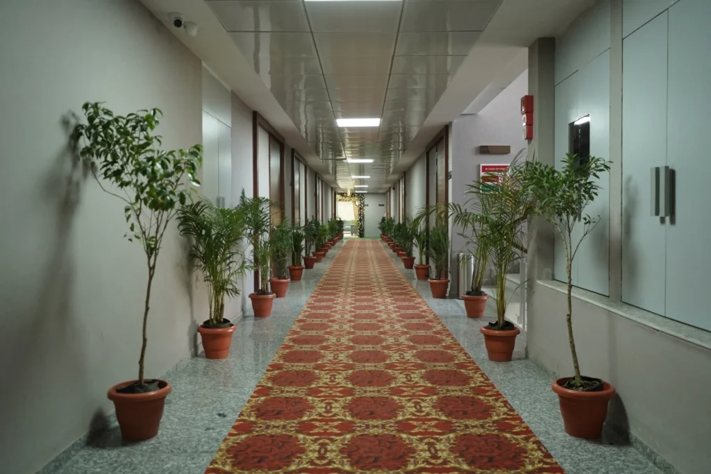 A corridor lined with potted plants and a patterned carpet leading to the clinic